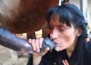 My wife swallows horse semen