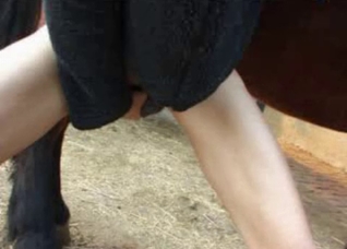 My wife swallows horse semen