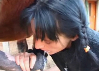 My wife swallows horse semen