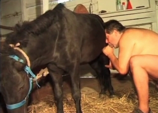 Anal stimulation in the farm porn