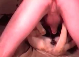 Sweet animal impaled in the anal