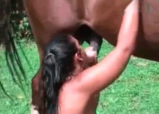 Tanned pervert sucks a horse dong