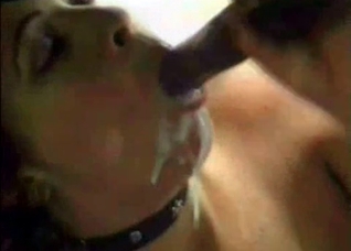 Horse cocks creams her mouth