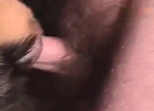 Tight dog ass fucked deep