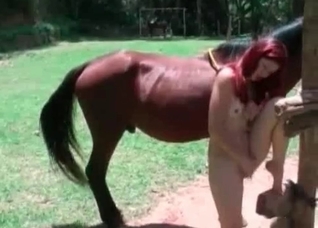 Redhead blows a horse pole