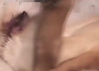 This animal loves my hard dick