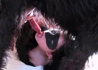 Deepthroat for a hairy doggy
