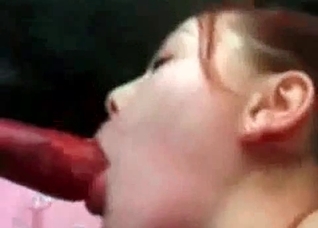 Japanese beauty sucks a dog