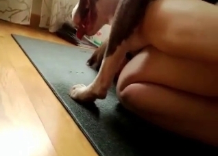 Anal try out with a dog