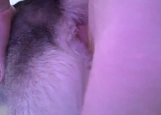 Impaling a juicy doggy anus