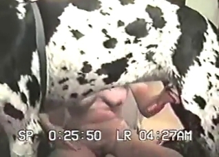 Outdoor dog masturbation action