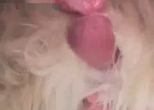 Just pulling out a doggy dick