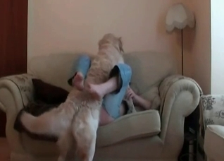 Hairy animal and nasty pervert