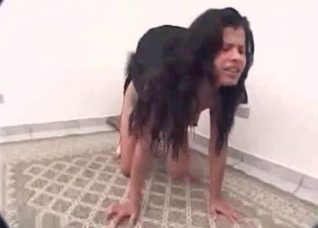 Playful dog gets into bestiality