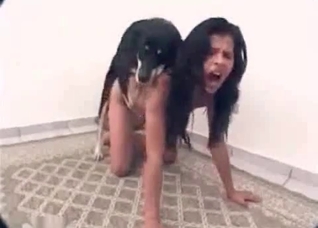 Playful dog gets into bestiality