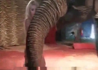Elephant and fully naked zoophile