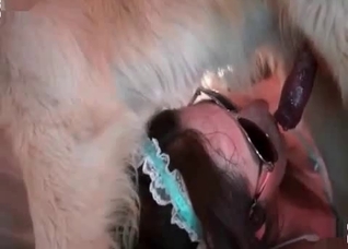 Dog licks my lovely naked snatch
