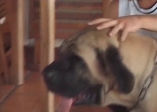 Latina gets into nasty animality
