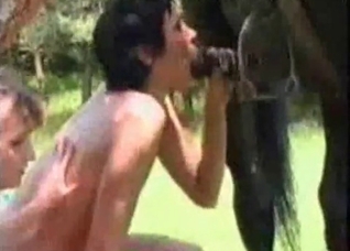 I really want to get an animal jizz