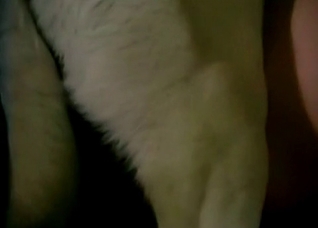 White dog and nasty zoophile