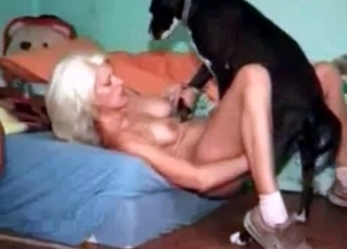 Small but very skillful doggy