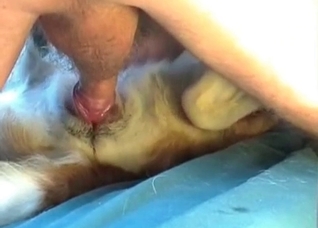 Slowly impaling my lovely doggy