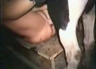 Stallion fucks her juicy hole