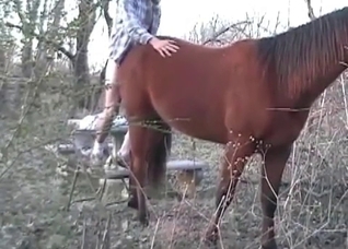 Fingering this juicy horse