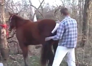 Fingering this juicy horse