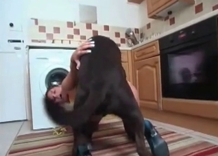 My dog fucked me in the kitchen