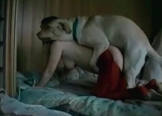 Playful dog screws my booty