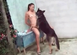 Shepherd licks my hard nipples