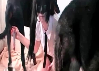 Black beast and submissive zoo slut