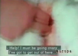Cock fucked in the zoo porn