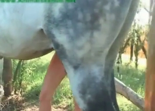 Busty woman and horse hose