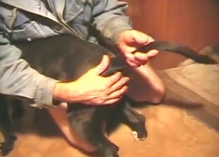 Dog screwed by my fingers