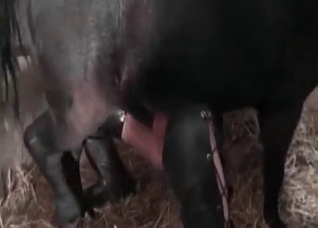 Bitch fucks in the farm porn