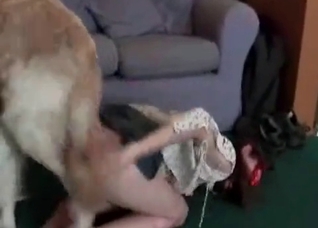 My playful dog enjoys my
