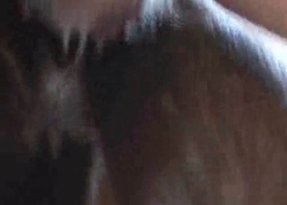 Small dick fucks a juicy horse