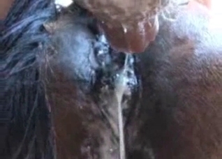 Small dick fucks a juicy horse