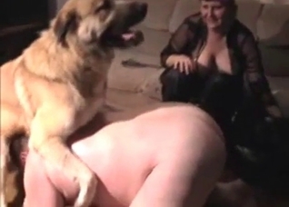 Fat booty screwed by a dog