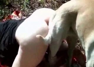 White dog pounds a zoo slut
