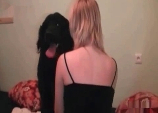 Hairy black pet in the bedroom