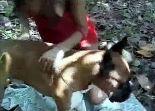 Trying to fuck with a doggy
