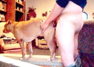 Dog loves my small wiener