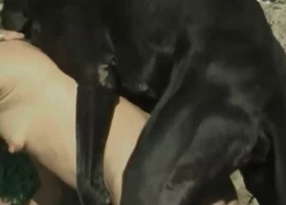 Muscled dog impales my sister