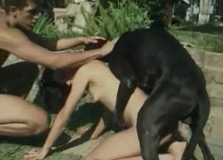 Muscled dog impales my sister