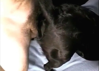 Slowly banging a hot doggy