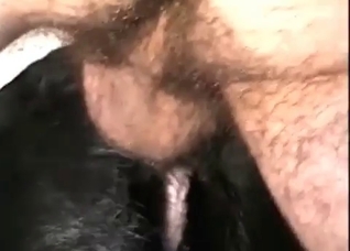 Slowly banging a hot doggy