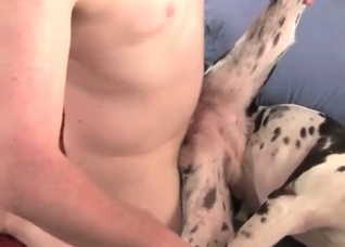 Spotted dog impales in the ass